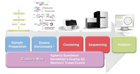 基因外显子组测序技术手册-检验-MedSci.cn